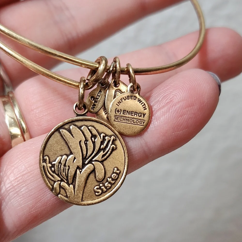 💎 2/$15 Alex and Ani 2014 Gold tone SISTER bracelet